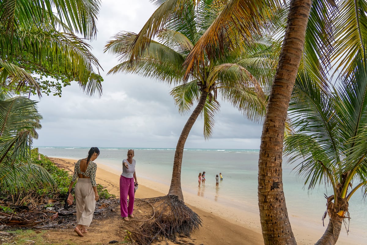 Puerto Rican environmental defenders denounce repression they face in form of costly fines | Climate